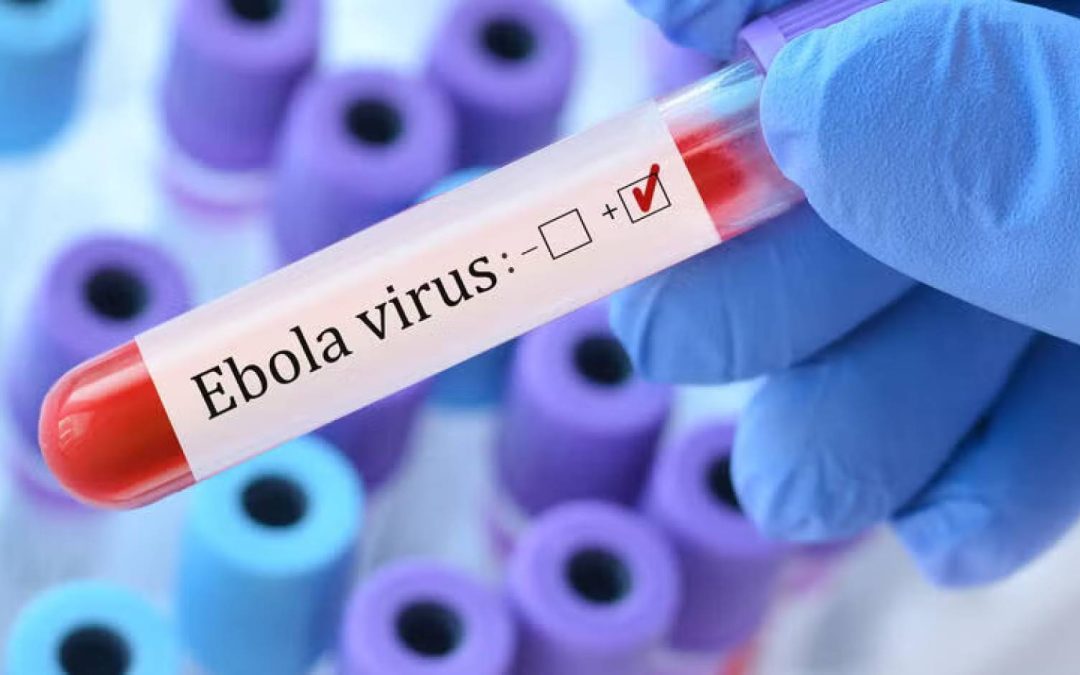 Ebola Statistics